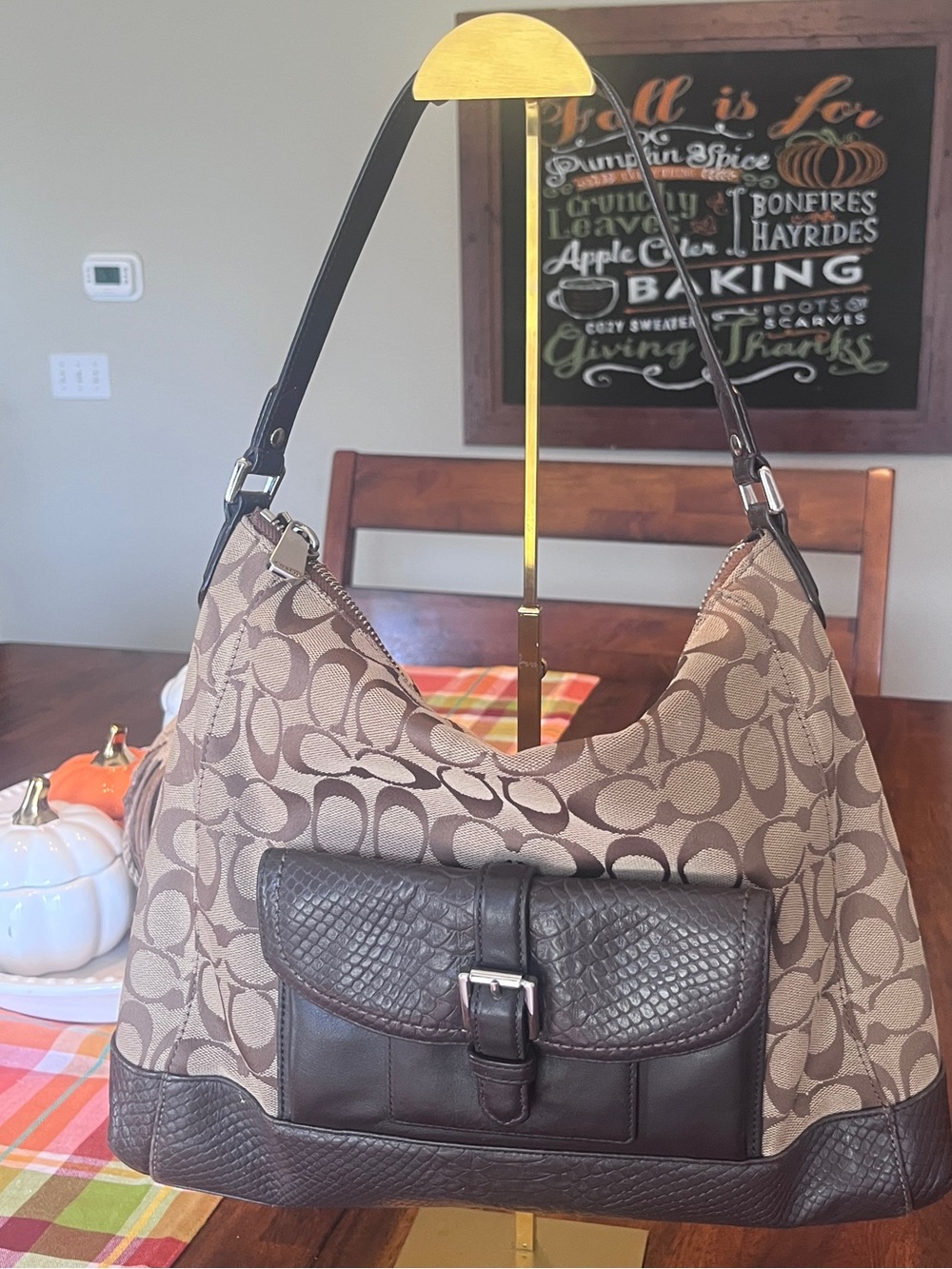 Coach F32081 Charlie Python Hobo in Chocolate Leather and Kahki Signature